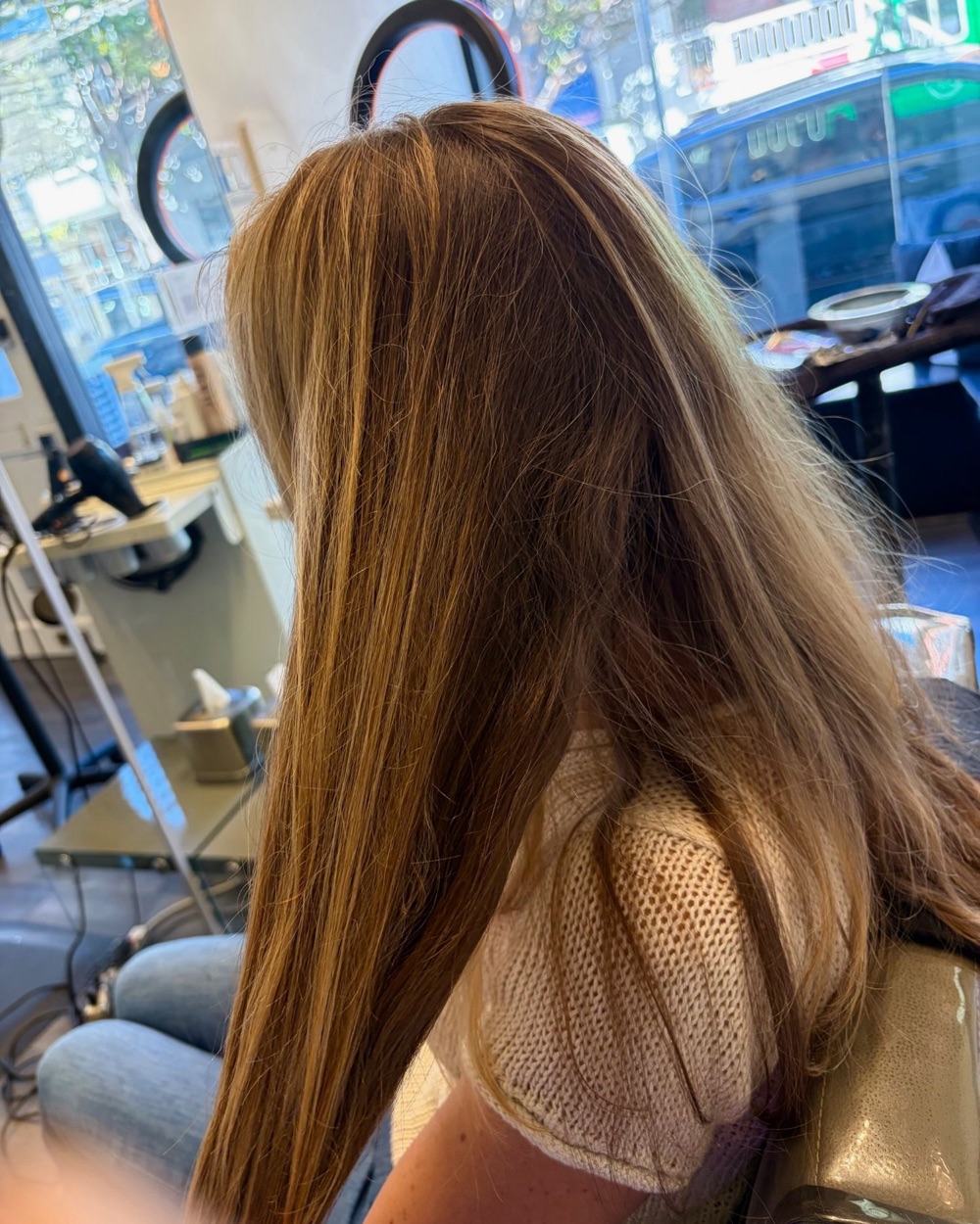 Before: long, brassy brown hair with grown-out highlights